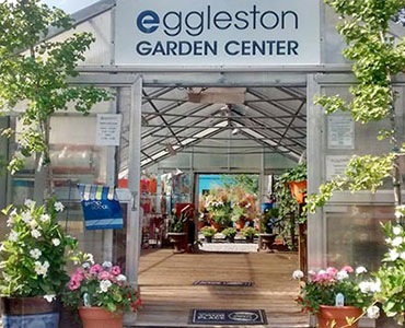 Garden Center Partners With MacArthur Center For Fall Events