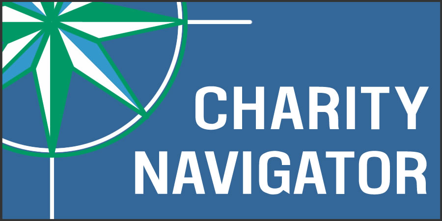 Charity Navigator Business Logo