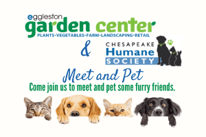 Meet and Pet Event