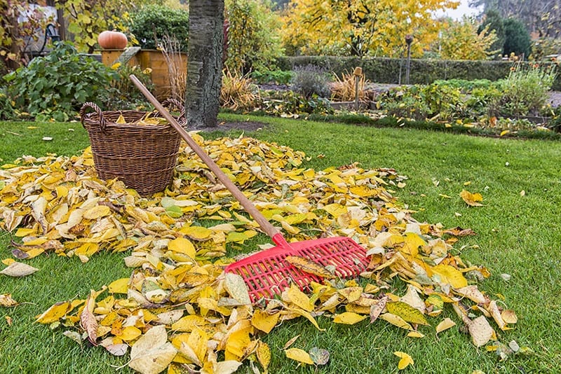 How to Prep Your Garden For Fall this Summer How to Prep Your Garden For Fall this Summer